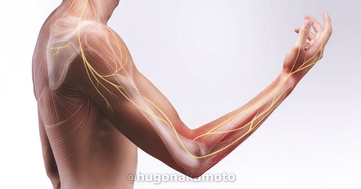 Dr Hugo Nakamoto Especialista Em Cirurgia Dos Nervos Perfericos Na Av Paulista